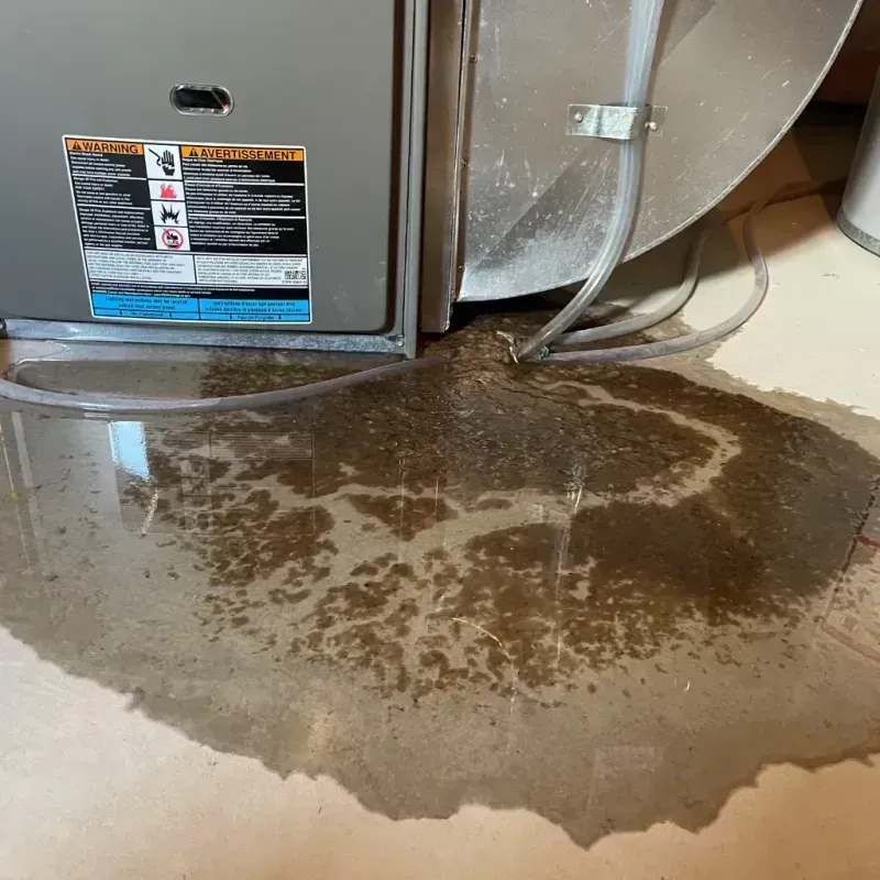 Appliance Leak Cleanup in Holmes County, OH